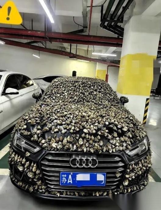 “一分钱不要，也得让你长记性！”业主车位被霸占10天，一怒之下做了这种事。他没有