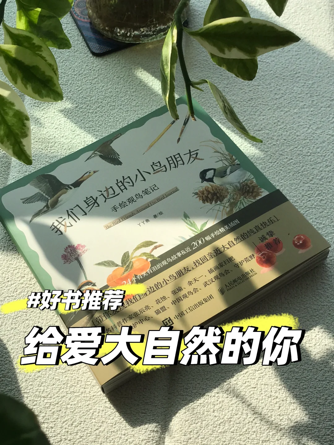 好书推荐｜给爱大自然的你