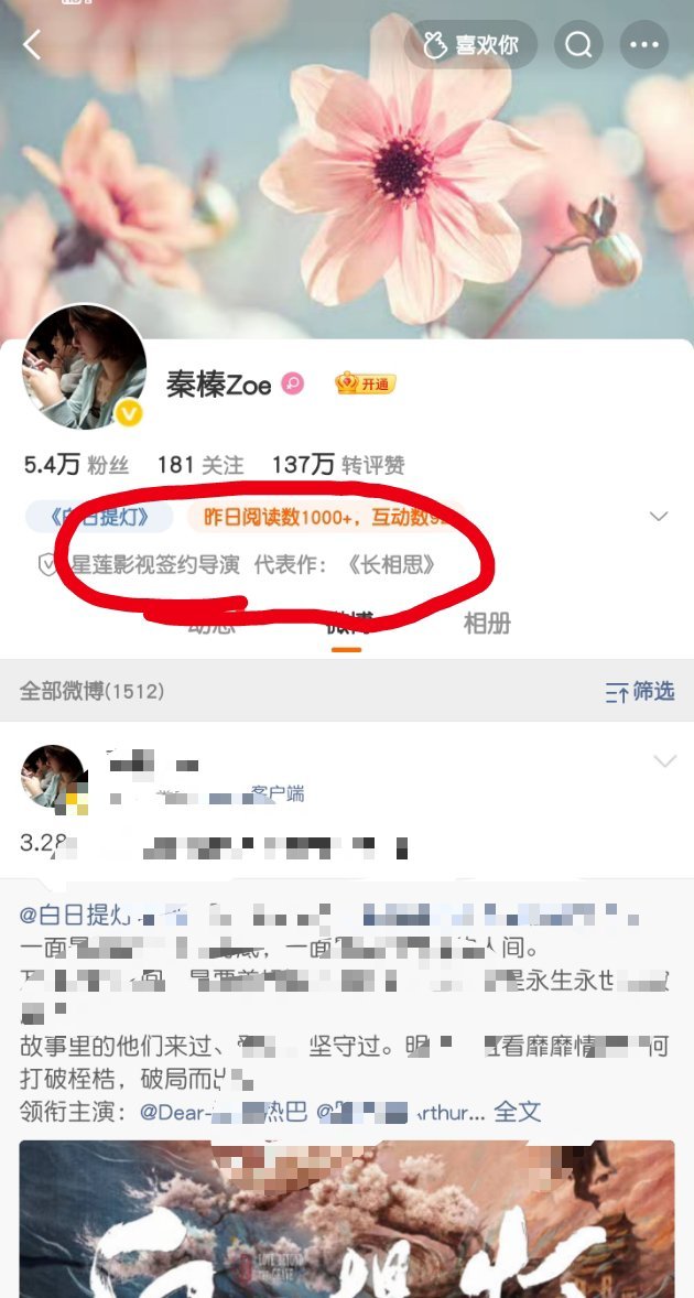 其实拍的也一般  奈何杨紫太强了  才成为导演的代表作 