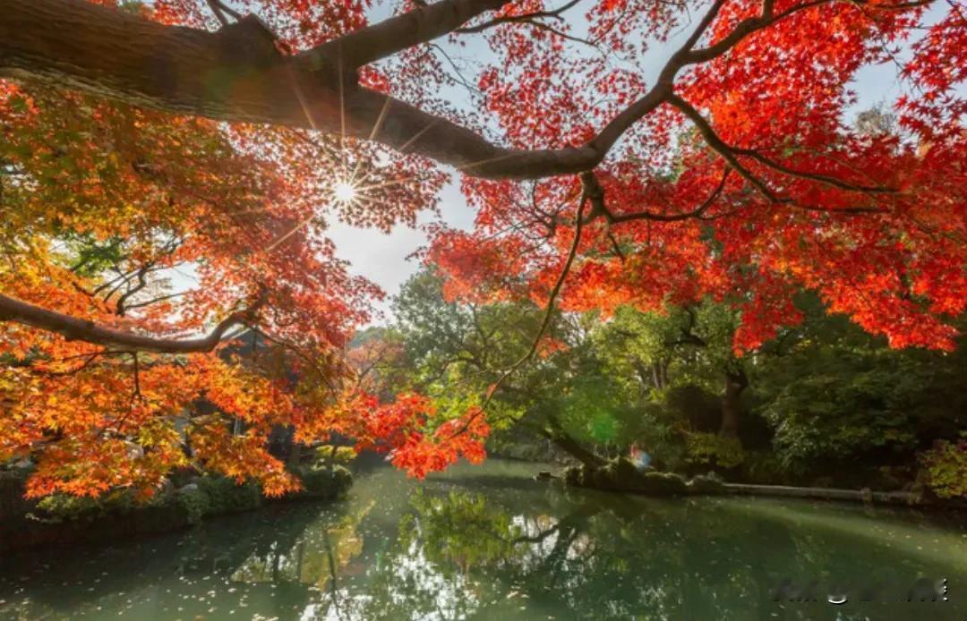 刘震云说：  “人一生除了赚钱，  剩下的时间，  要离人远一点。  盼你好的只