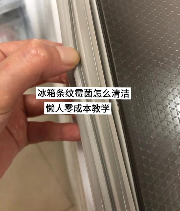 闺蜜上周末大扫除，对着冰箱发愁。她家的密封条黑得跟画了“烟熏妆”似的，用刷子刷、