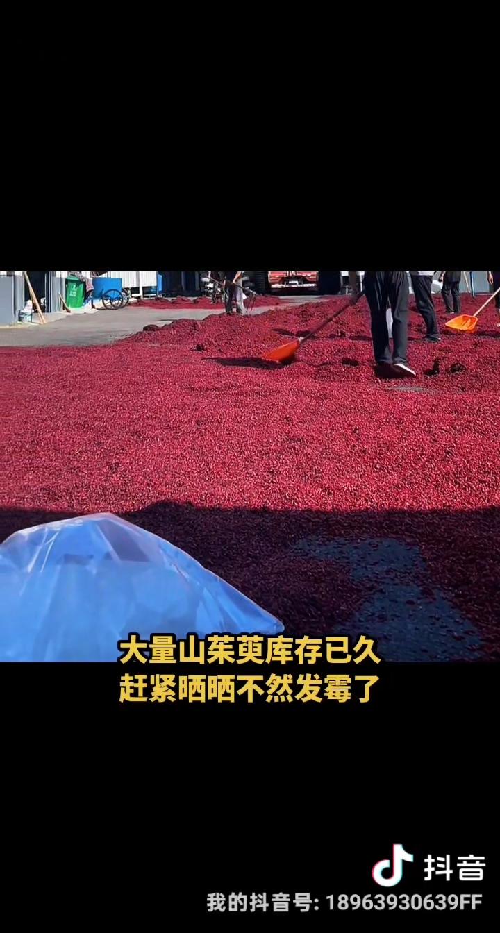 山茱萸走势怎样？
看看连翘你就知道了……

做药材的老手都懂：这俩品种走的几乎是