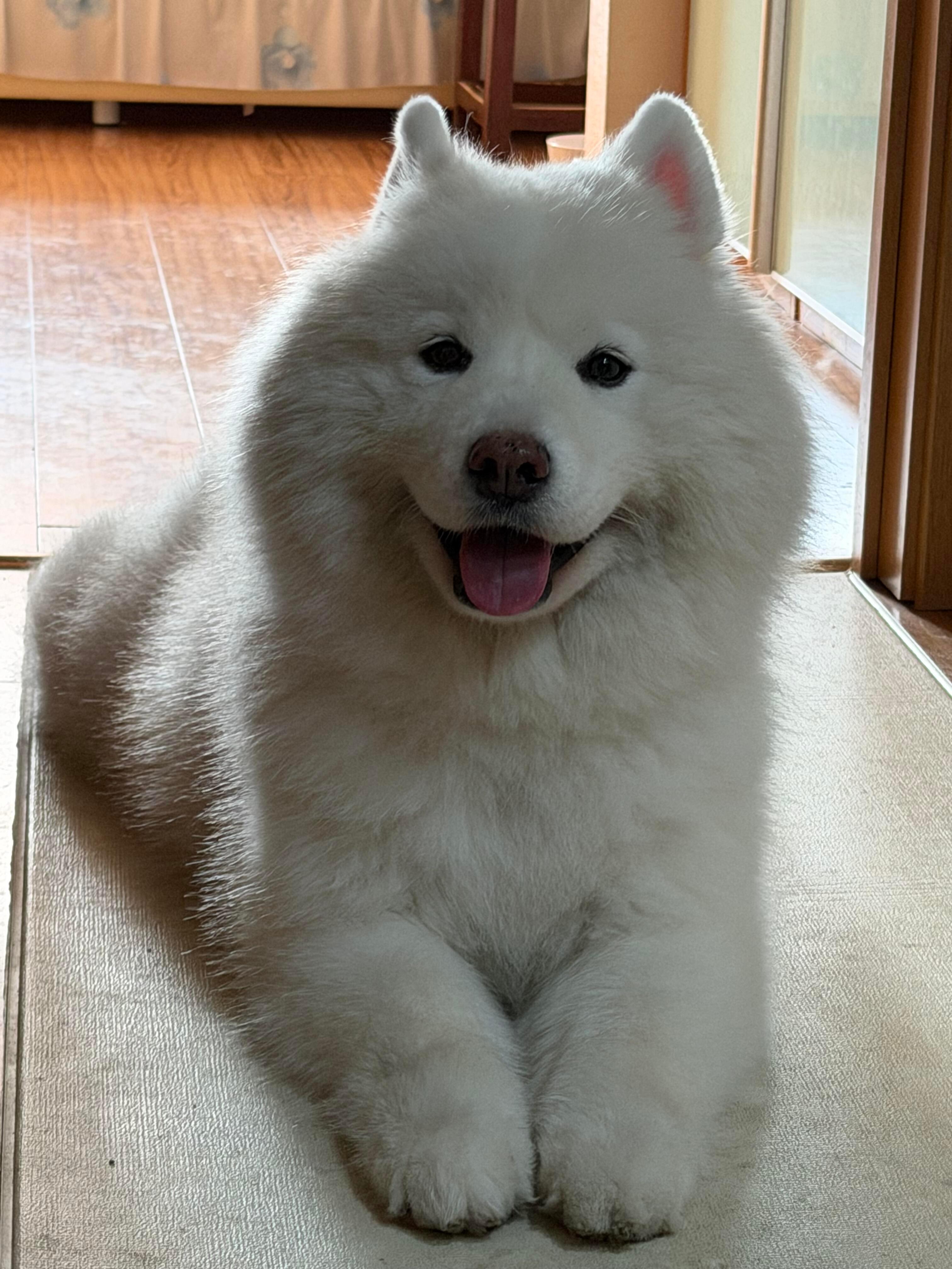 早上好耶 ​​​
