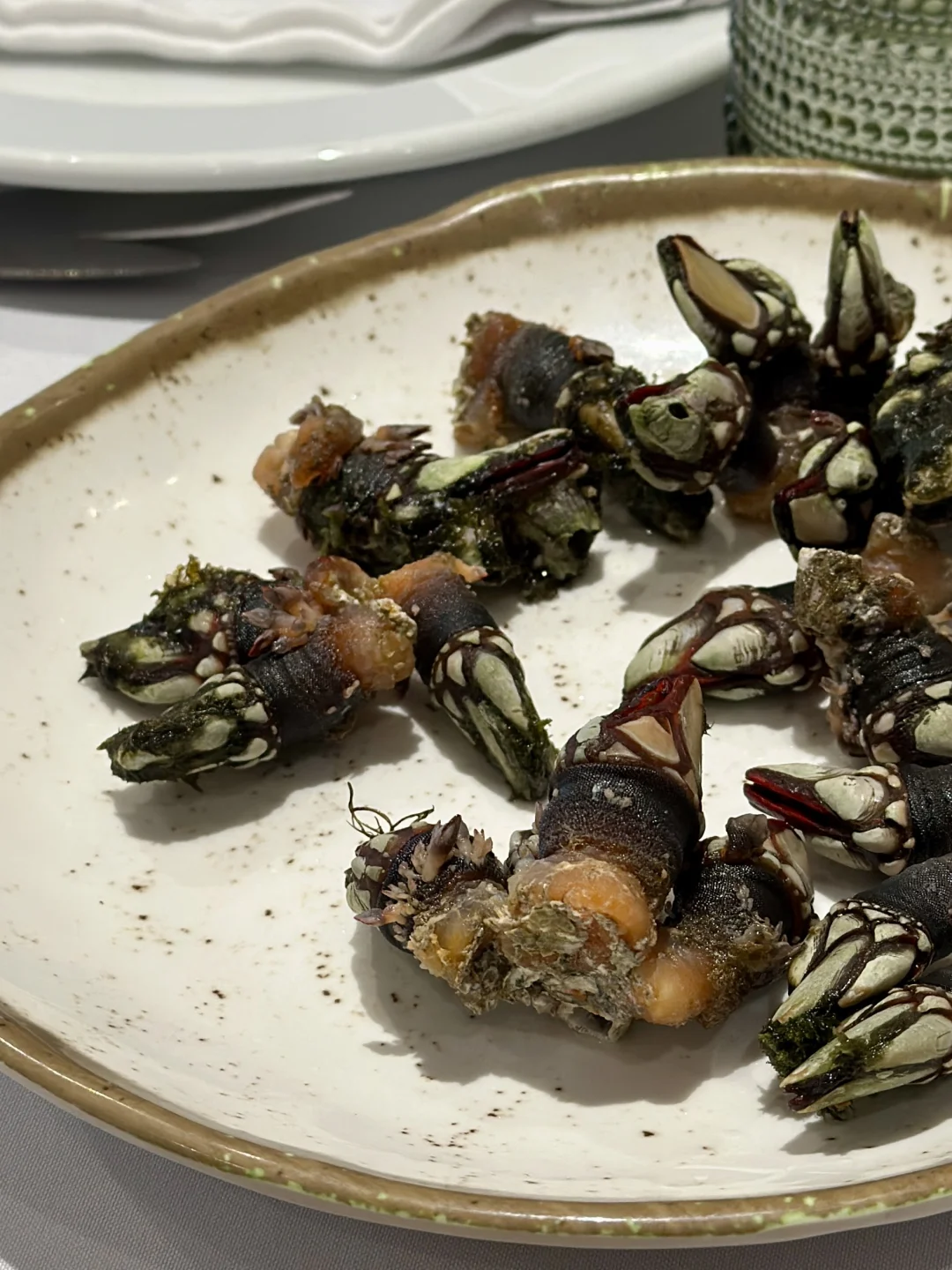 本地人猛猛推的海鲜馆子🈶 人间极鲜鬼爪螺