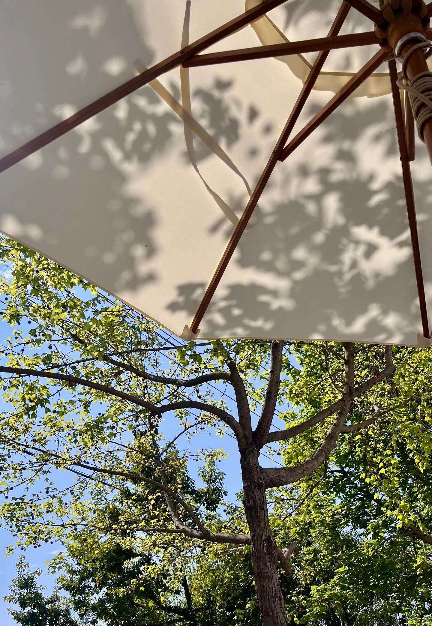 ♡⃝ 𓐃📻慢慢来，别着急，一切都会如愿 🚞 