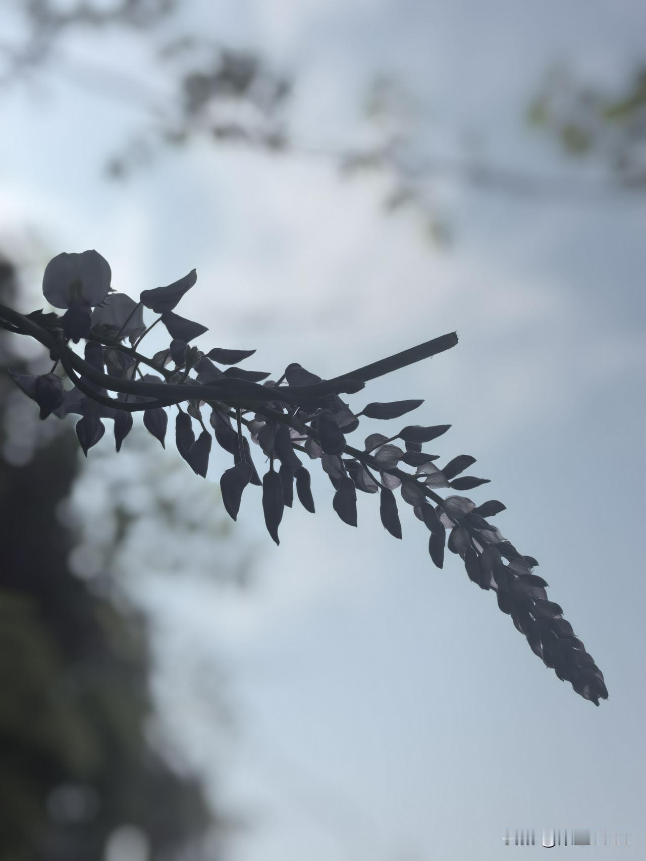 说摧毁一个人的四件事就是盲目投资，创业失败，不适合的婚姻及无法治愈的疾病。

而