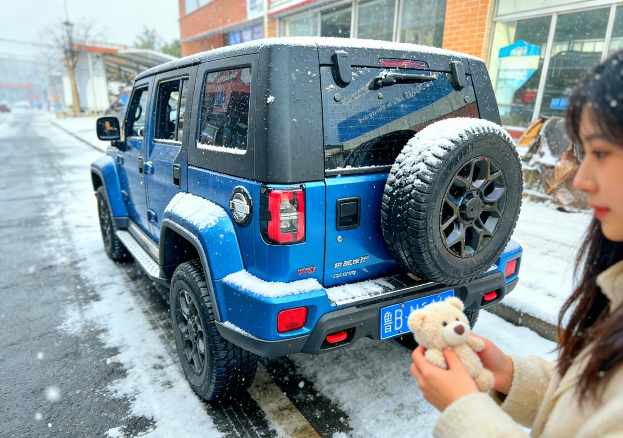 中国汽车工业在这场伊朗狂欢当中。彻底的改变了全世界的市场规则。我有理由相信未来的