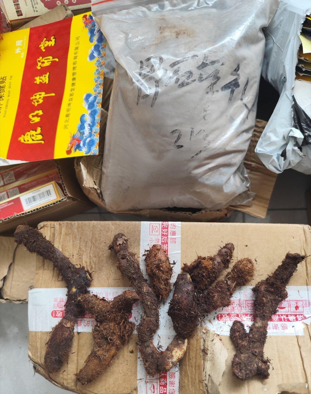 这就是骨碎补（上粉末下原物），怪不得叫猴姜，怪不得粉里一股子土碴子 