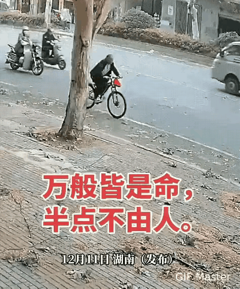 这就是命，命中有此一劫，所谓“万般皆是命，半点不由人”，还真是应了那老话了，芝麻