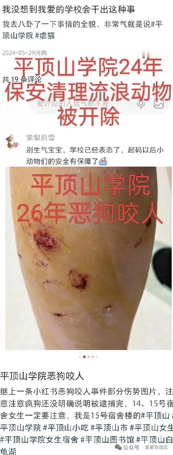 【回旋镖来了】2026年，河南平顶山学院女生称在校园被狗围攻咬伤。而在2024年