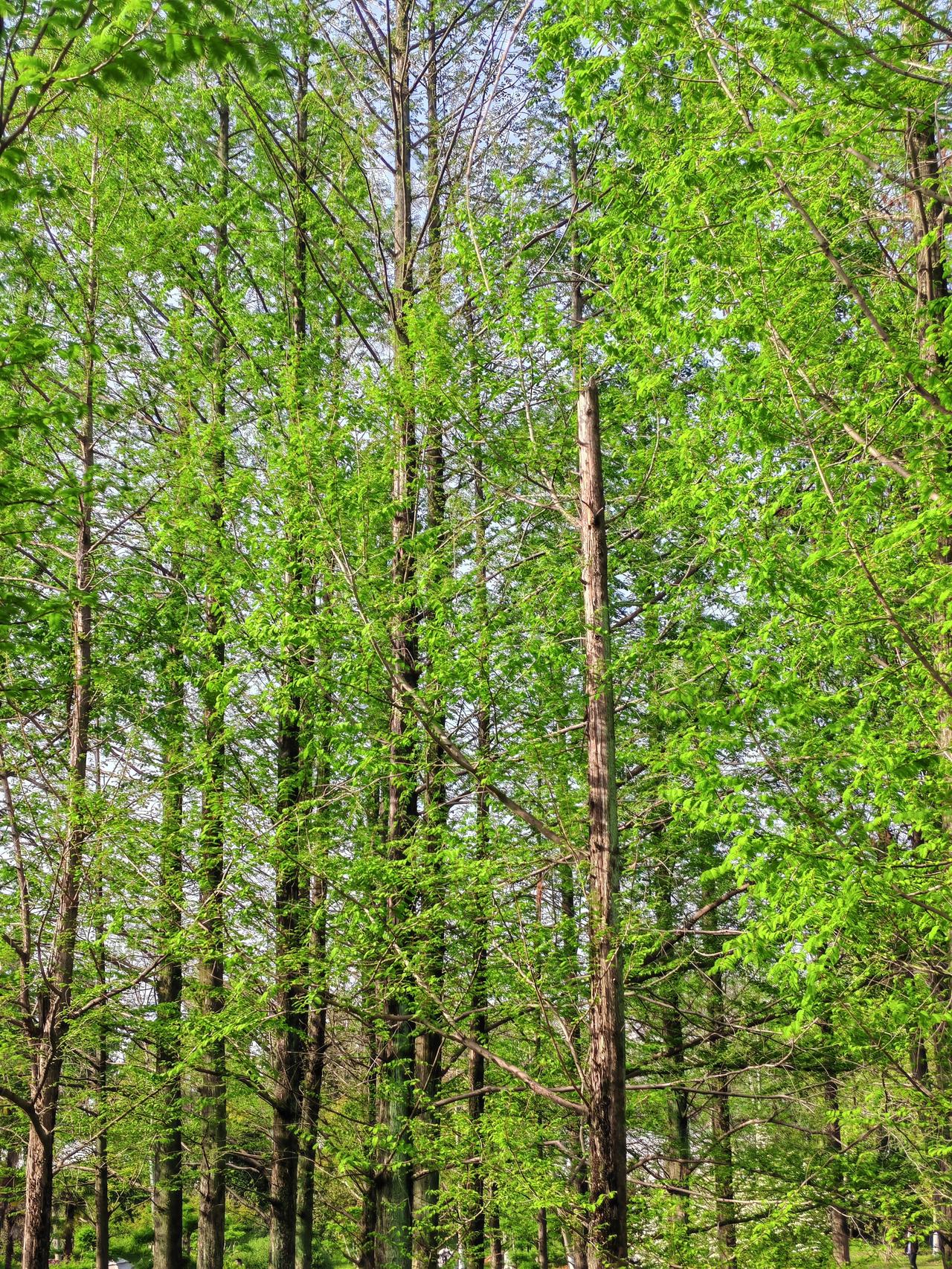 1. 现在最幸福的两种人：结婚的男人，未婚的女人。（能唤醒现在的女孩们）；
2.
