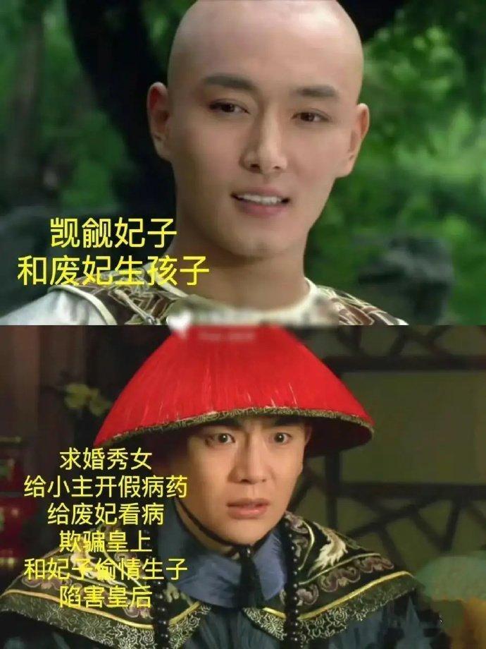 他们算不算甄嬛传里面最大胆的四个人 ​​​