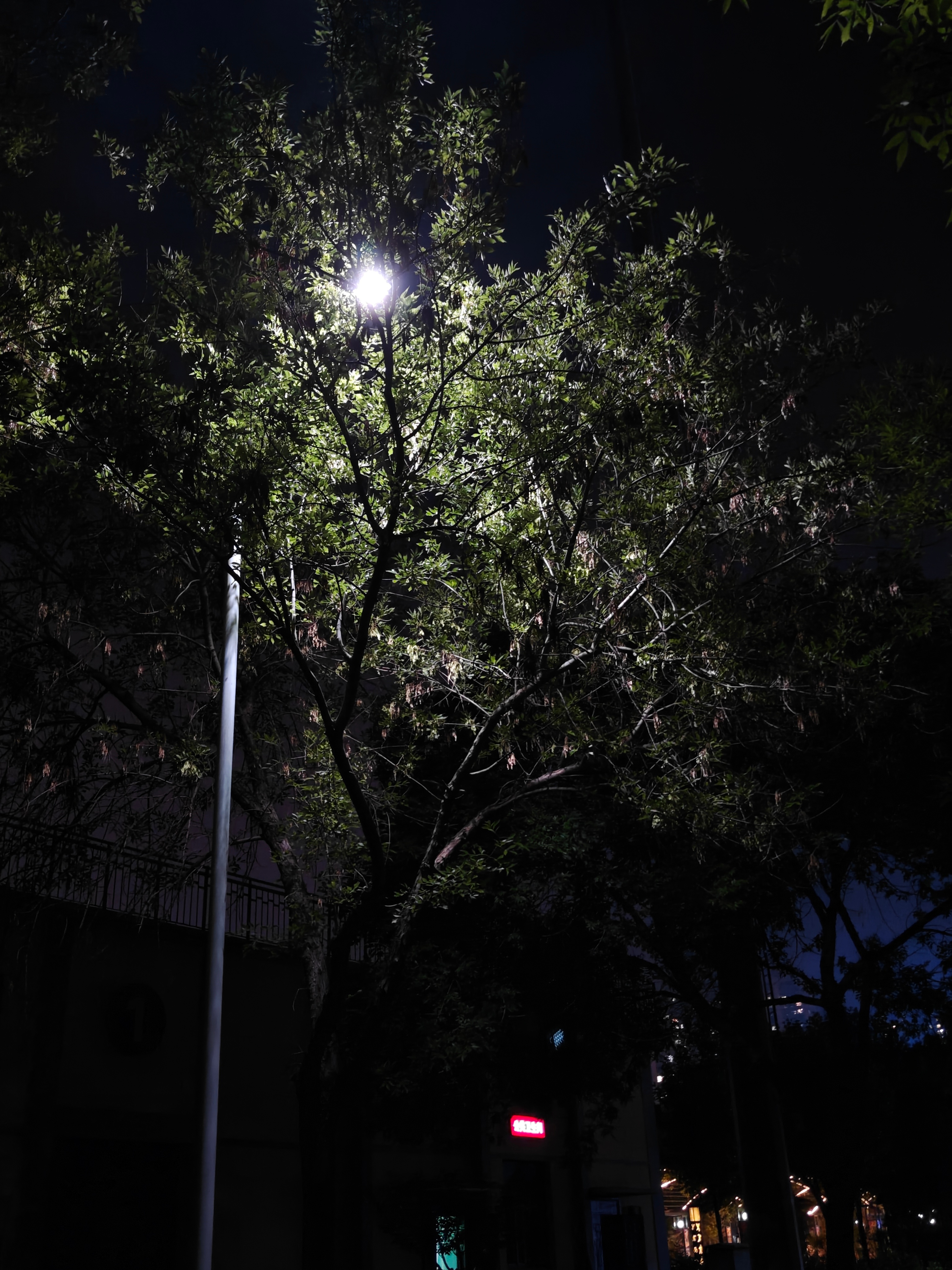 跑不动了，今天湿度好高啊，汗流浃背 ​​​