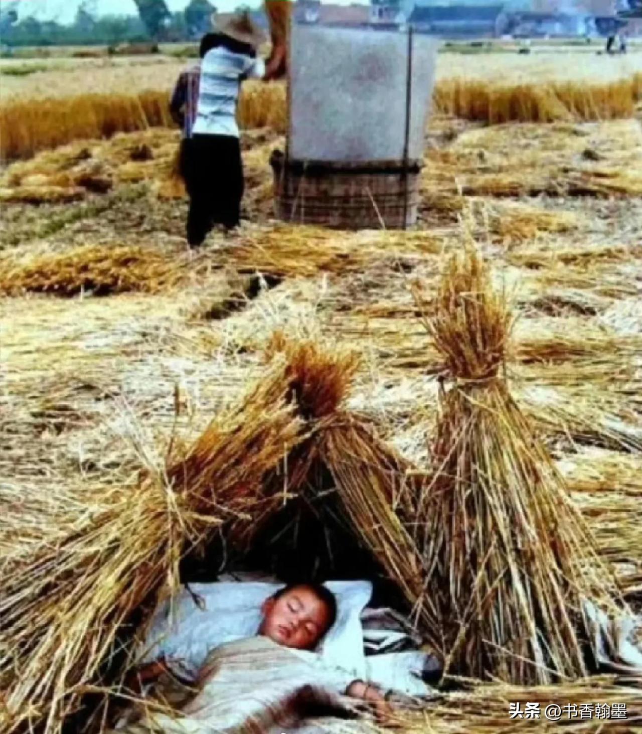 这张摄于1981年的照片，记录了四川射洪县实施“包产到户”后农民的热情。一对夫妇