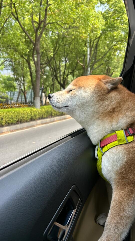 一些碎片