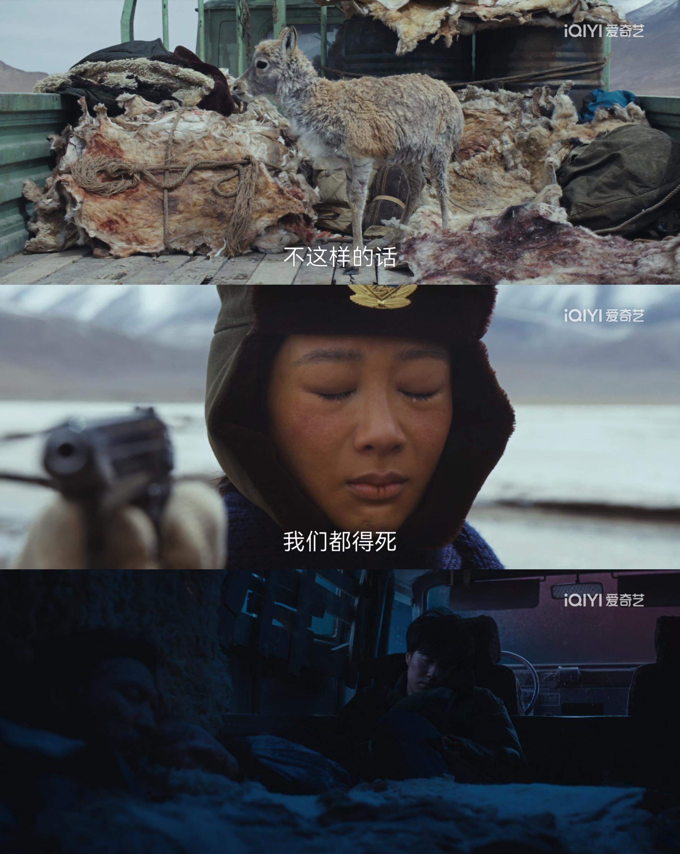 开了灵视再看《生命树》11、12集，就会发现西方所谓的环保、动保都是假大空，自己