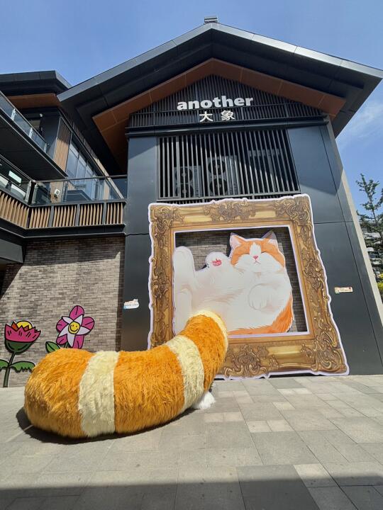 是猫猫岛！🐈幸福要晕过去了(⁎⁍̴̛ᴗ⁍̴̛⁎)