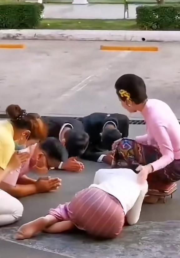 亲民贵妃 迫不及待要看你营业了