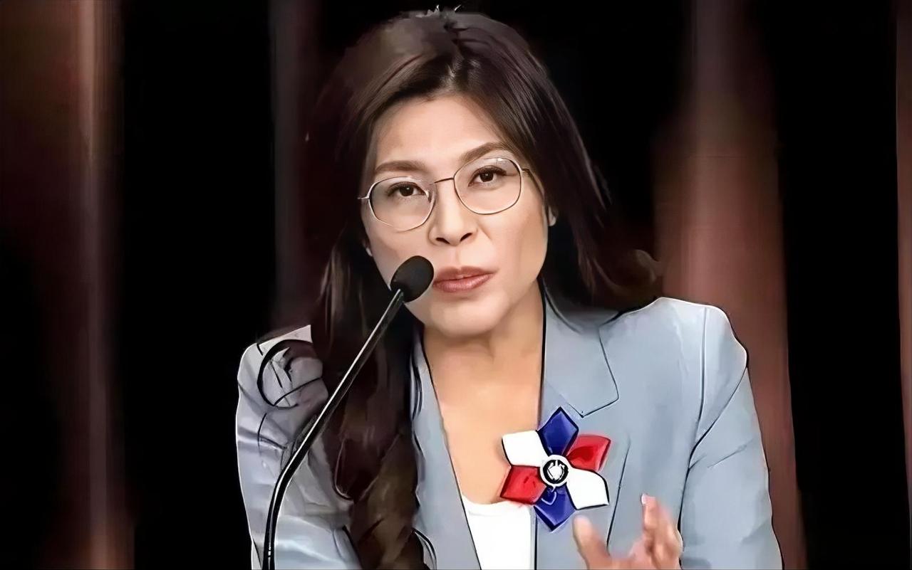 郑丽文访问大陆的压力还是蛮大的，不光是民主党的阻挠，还有部分国民党内部成员的撕裂