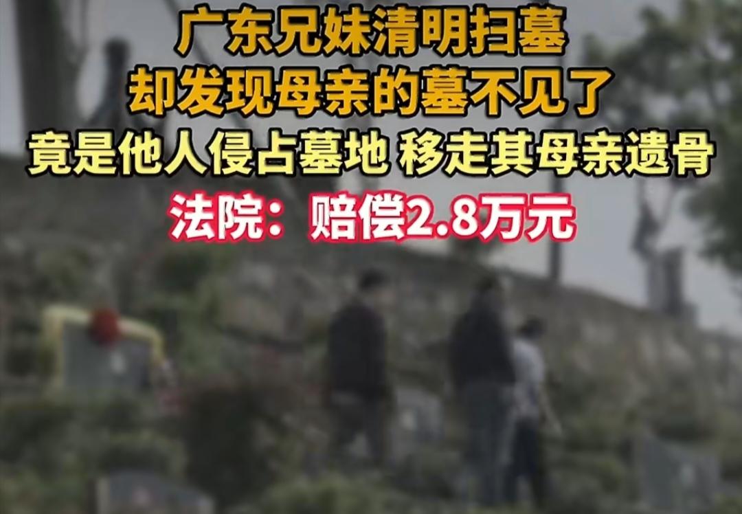 清明扫墓发现母亲坟没了！被人私自迁走，法院判了。

清明去给母亲上坟，结果到了地