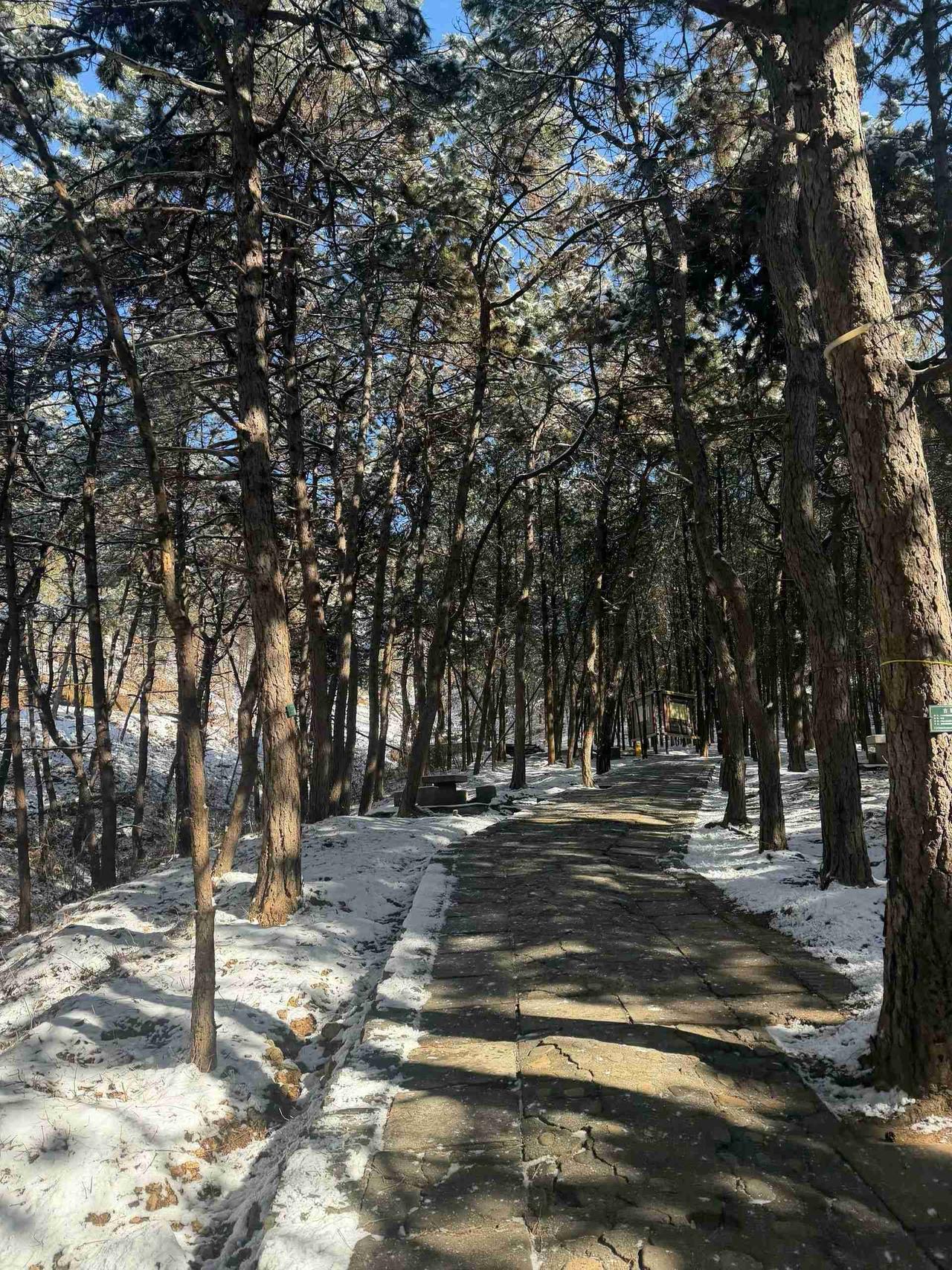 我的今日状态：😁轻松愉快
我这里的天气：☀️晴天