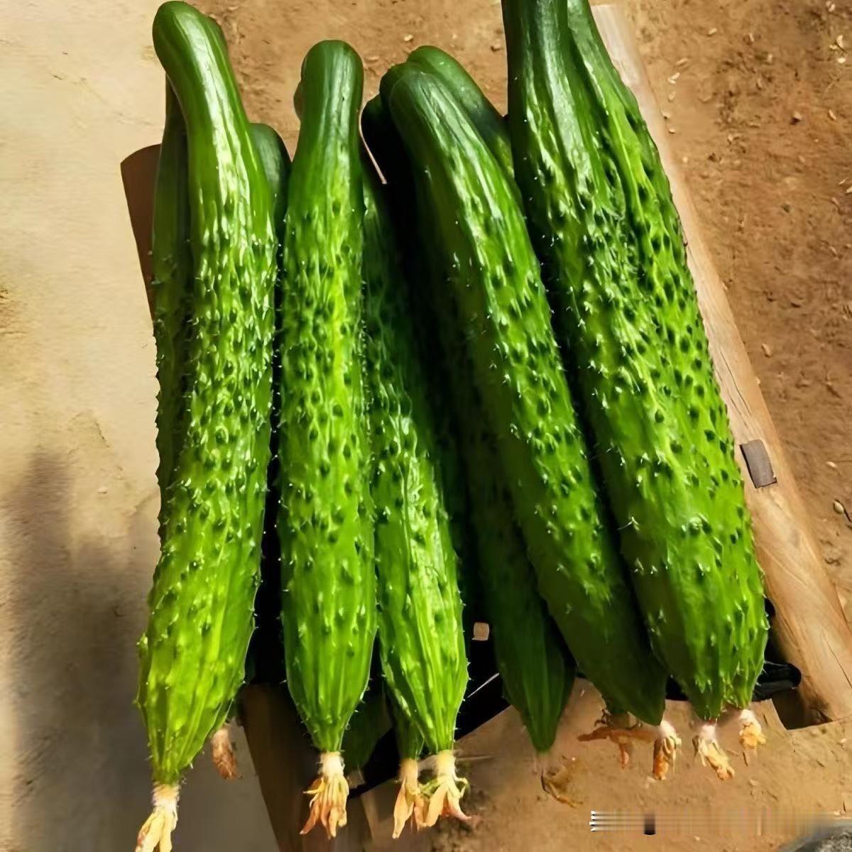 今天我到菜市场买菜，前2个摊点的黄瓜没有标价，我驻足了几秒钟想问价欲言又止。但第
