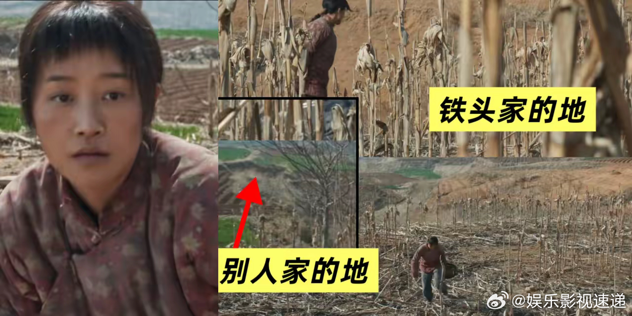 终于看明白了，铁头家一共就两口人，种着13亩好地，为什么饭都吃不上！​银子去铁头