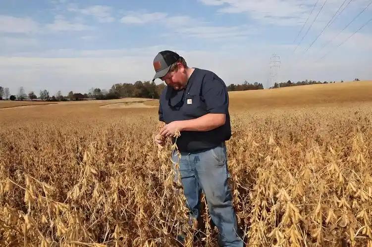 果然不出国人所料，中方刚把1200万吨美国大豆的订单递过去，美国就立马翻脸，通告