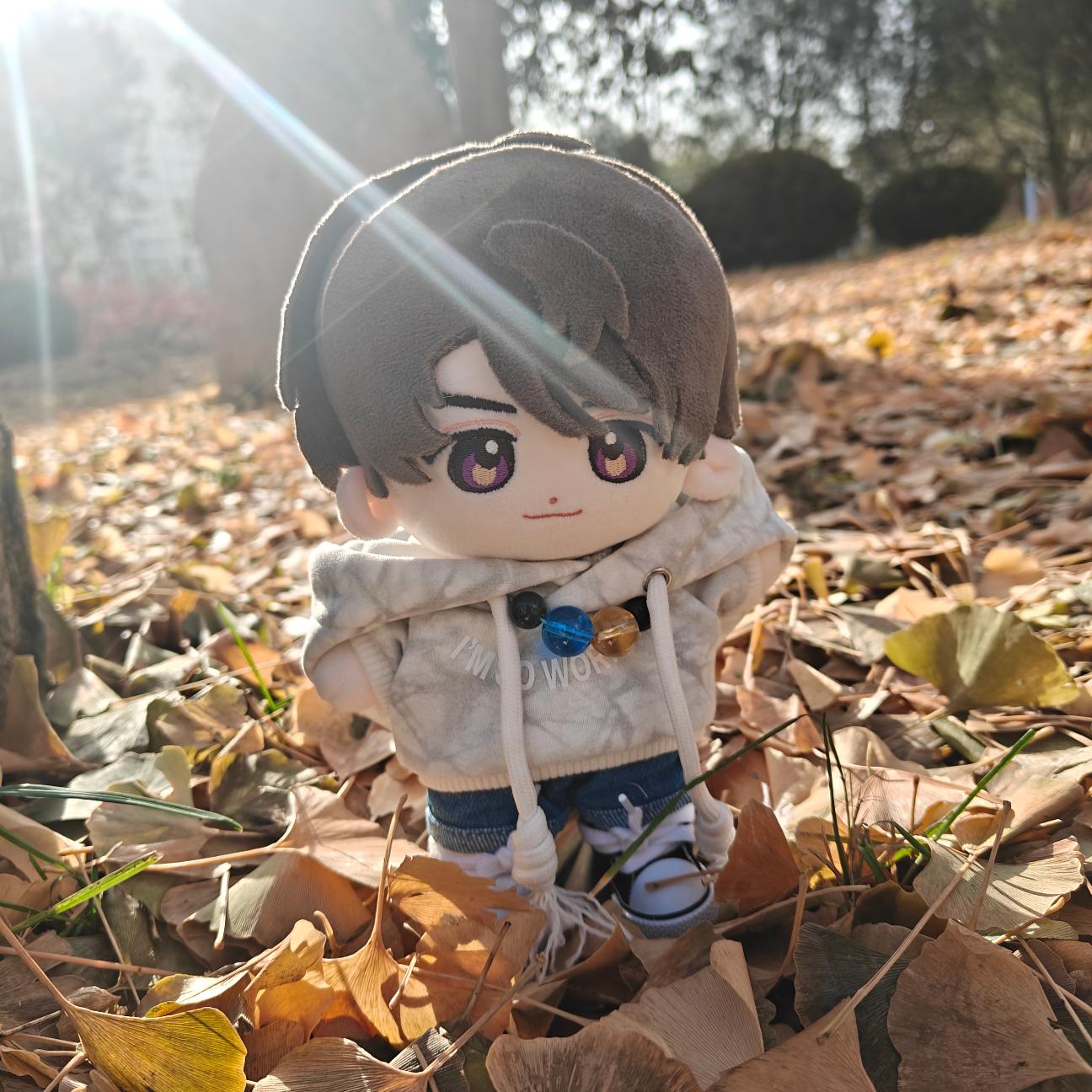 银杏树去的时候秃了，好在地上还有银杏叶