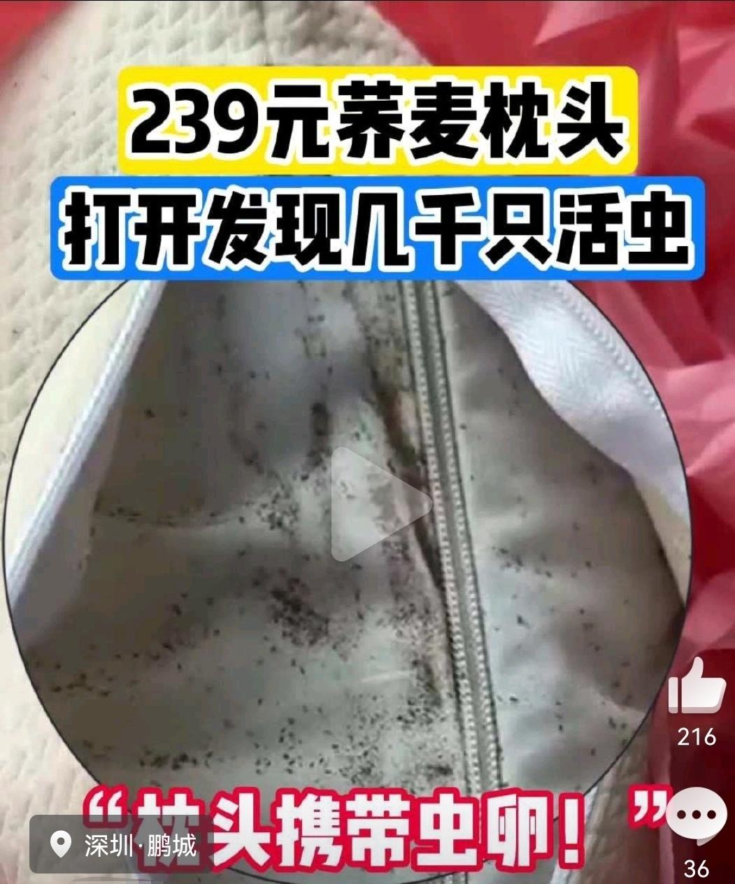 239元买的枕头一拆开，头皮发麻！上千只活虫在里面蠕动…

深圳小林网购的“德国
