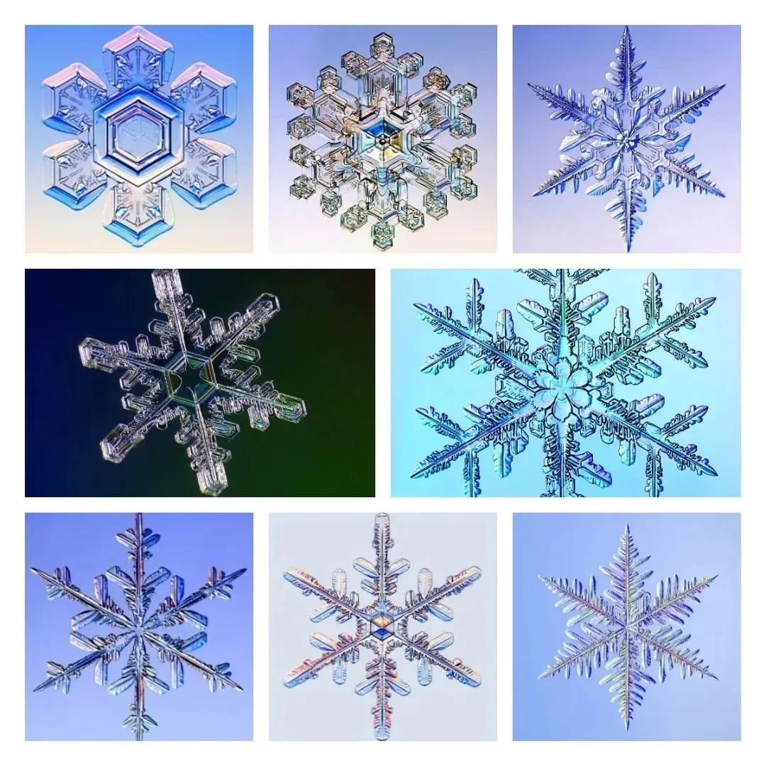 #每天一条冷知识# 雪花的形成过程和雪花形貌今天依然是个困扰科学家的前沿课题。凭