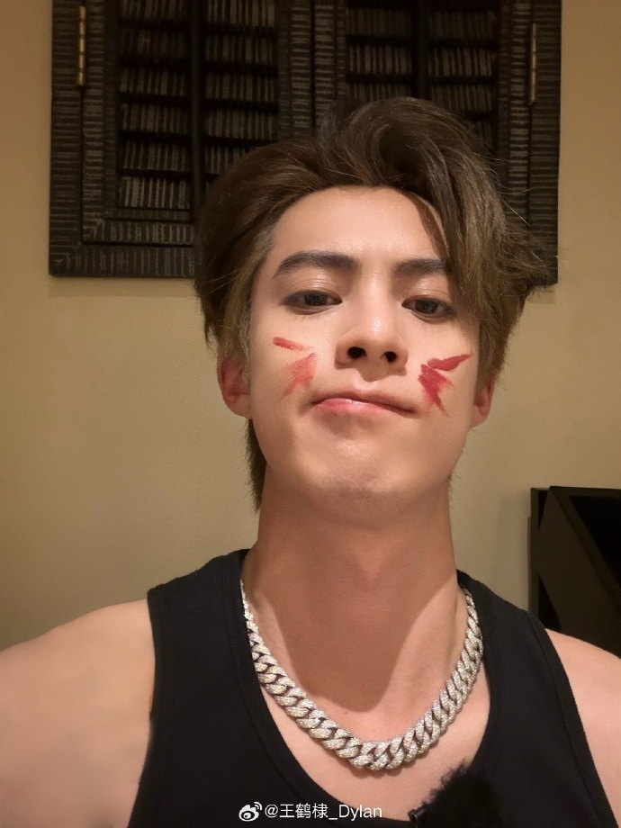 表面上是王鹤棣想发微博了，实际上是可爱小猫在和大家分享自拍