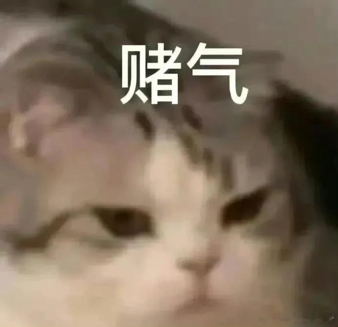 #上班真的能跨越阶级#年轻的时候真的很穷 上了几年班 终于不年轻了 ​​​