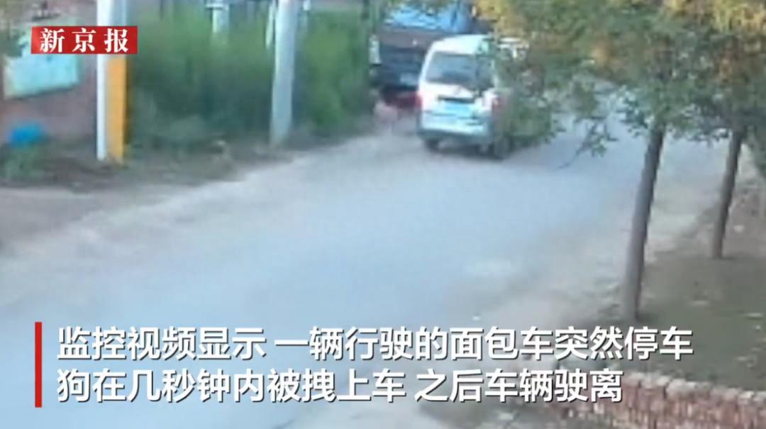 最近，河北廊坊大城县发生了一起让人气愤的事。6月9日，一户居民家门口的监控拍下了