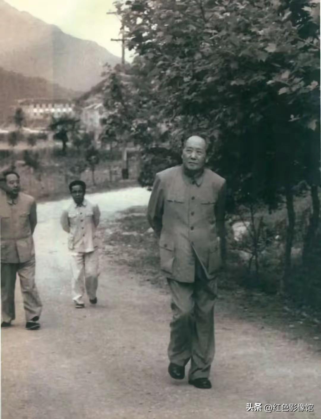 山间小路林木葱郁，毛主席背手缓步前行，从容沉稳。身后随行人员相伴，山野远景静谧，
