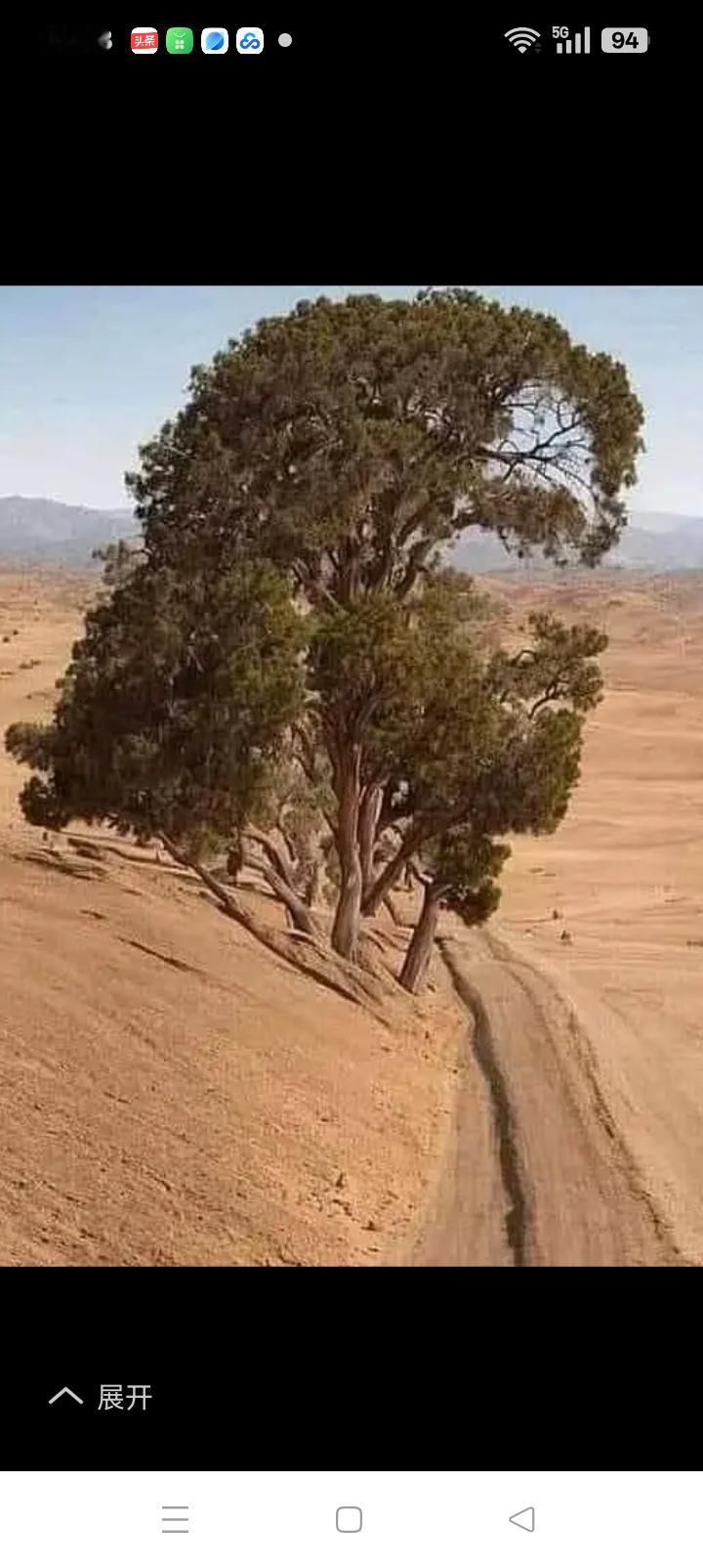这几天写啥都没有流量我怀疑自己不会作文了，上个礼拜禁言七天后遗症开始显现。
每天