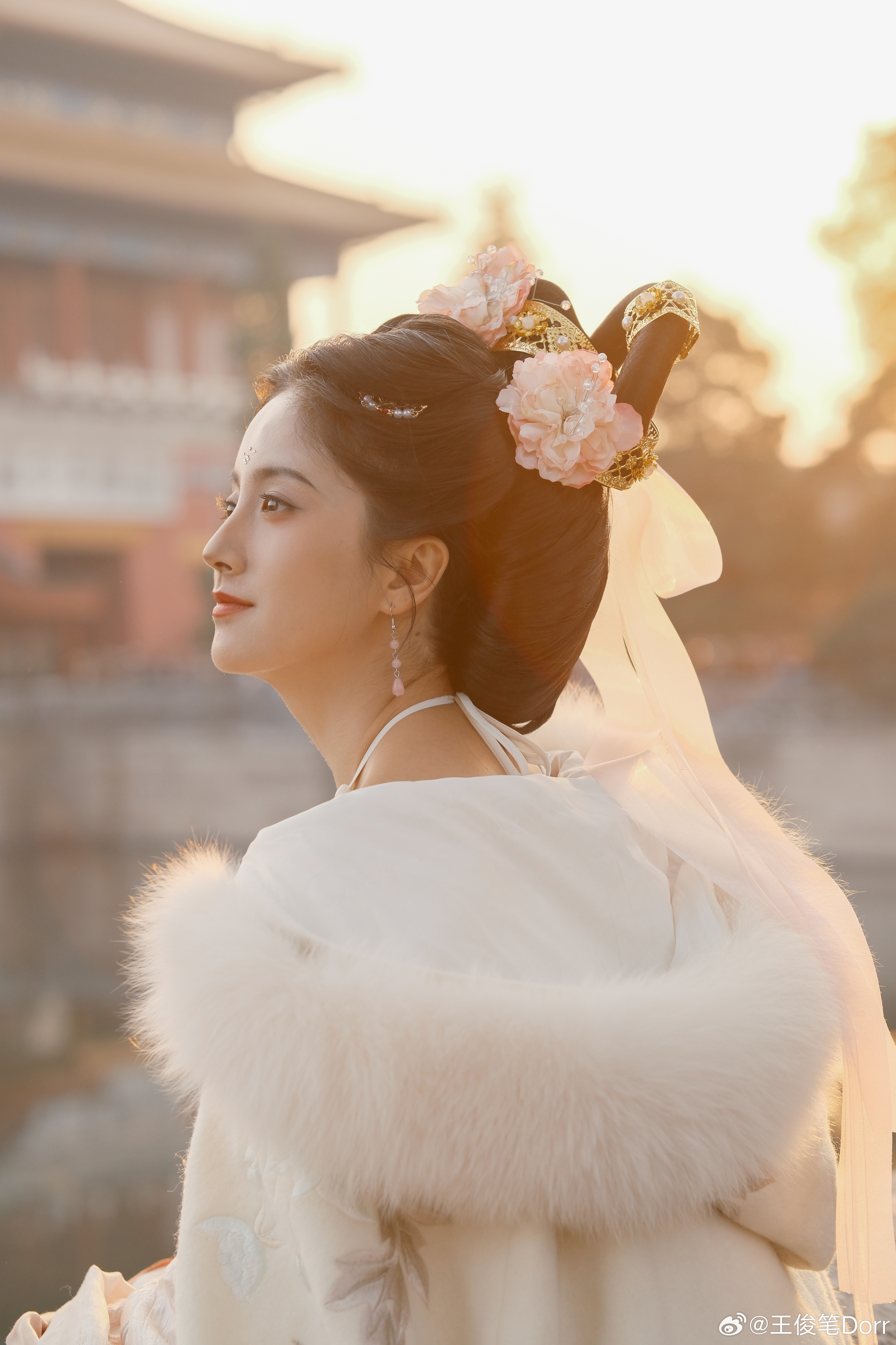 “风吹牡丹落，香染旧时衣～”好事多朵