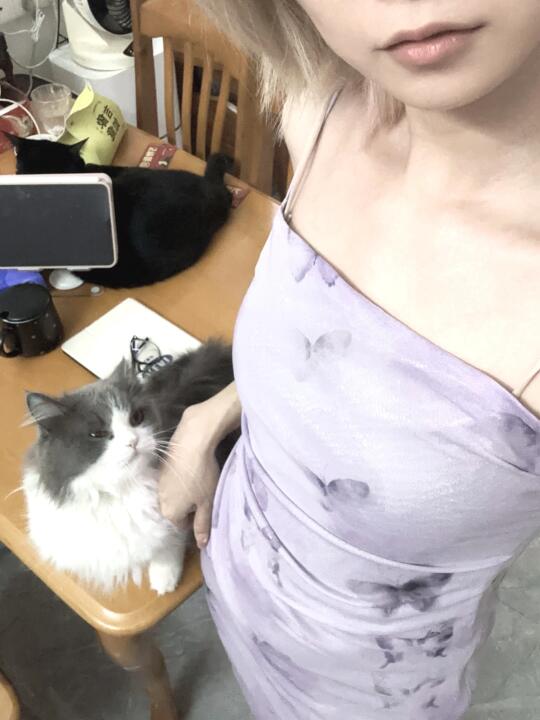 我想和猫猫一起拍照