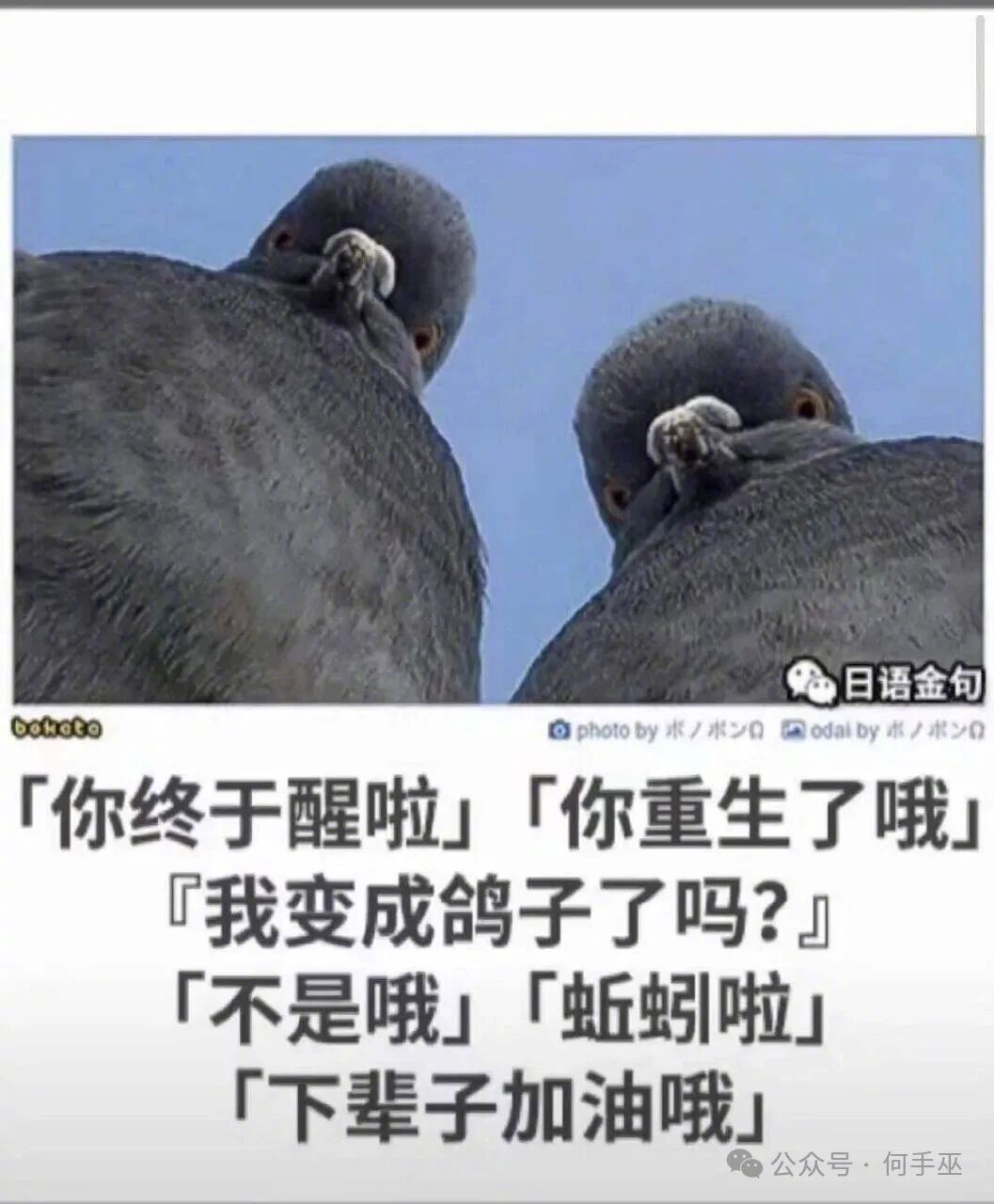 早起的虫儿被鸟吃