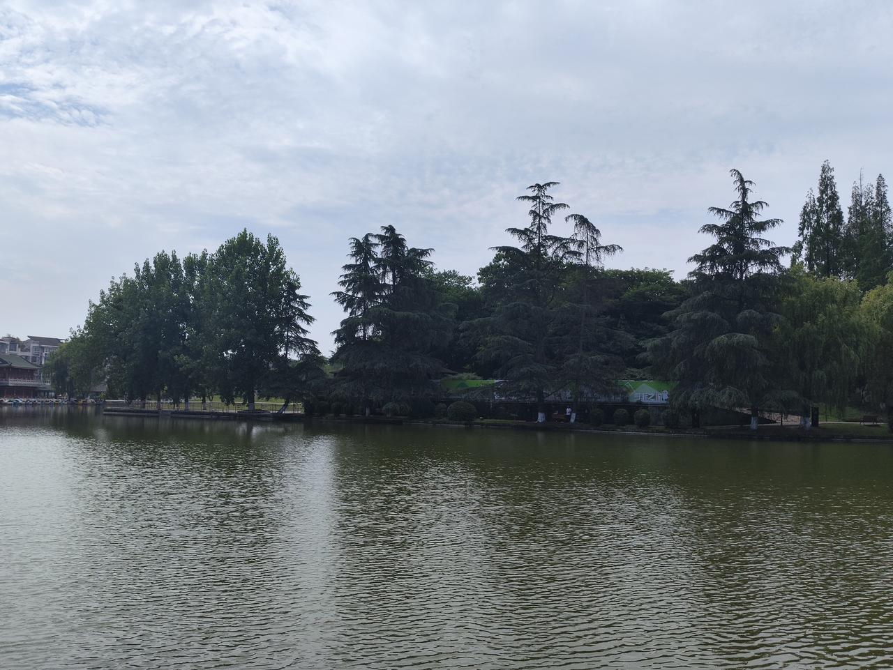 一碗清茶悟半生，
岁月磨平了年少棱角。
从前凡事较真，
纠结输赢、在意闲言碎语，