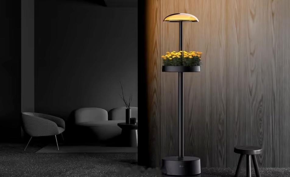会“养花”的灯：LG 预告“Tteun”家用园艺神器  这款创新产品不仅能够调节