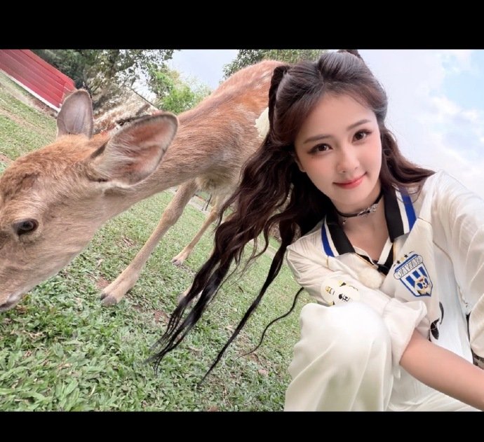 白鹿和鹿合影白鹿小鹿live好萌好萌！！！ 白鹿