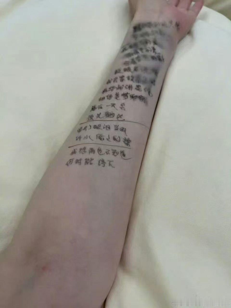 李小冉 在记了两个胳膊都记了乘风2026 主打沉浸式硬核备考，李小冉双臂密密麻麻