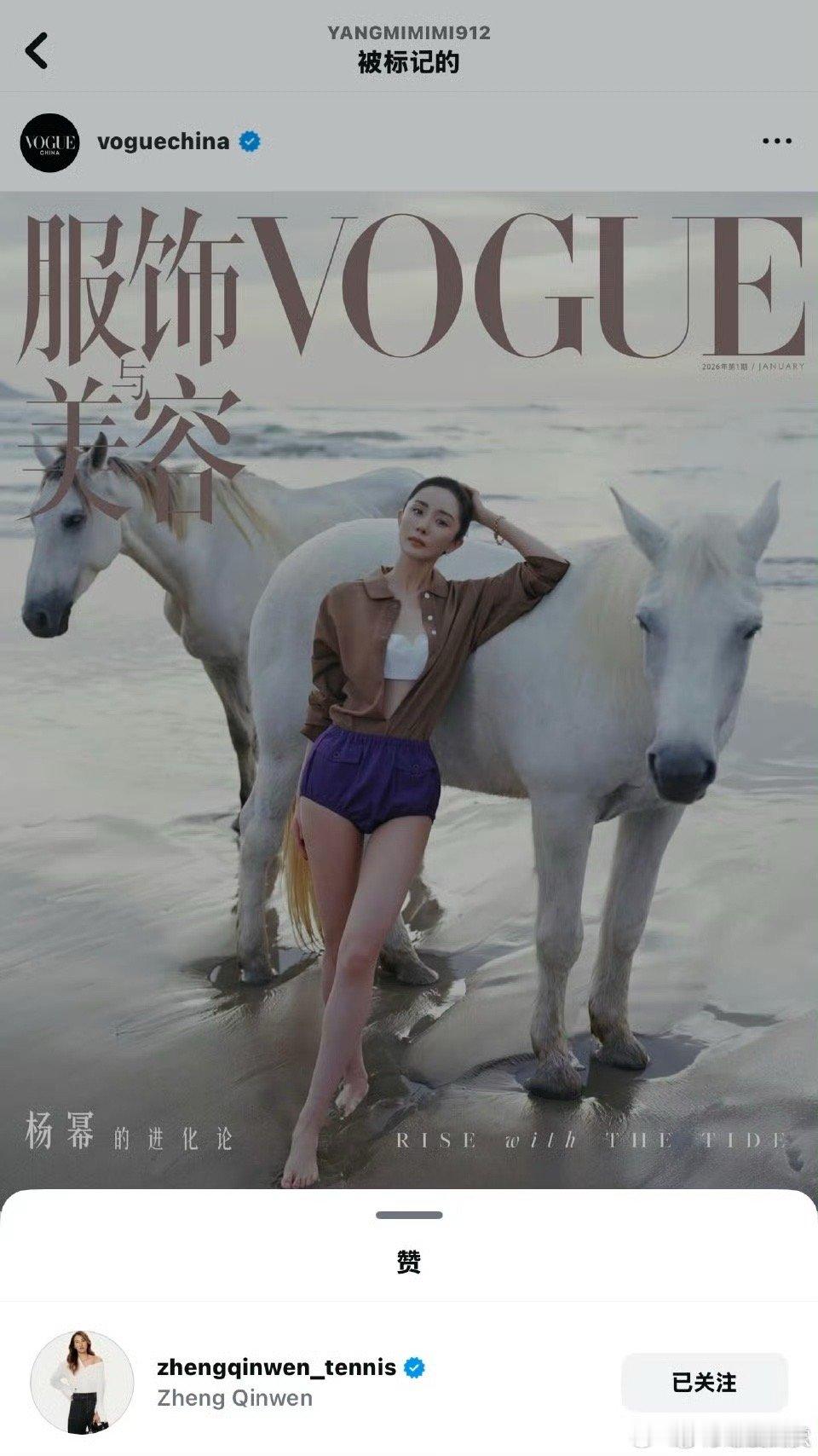 杨幂郑钦文相互欣赏的Queen 郑钦文点赞杨幂VOGUE封面后，刘冲介绍杨幂 郑