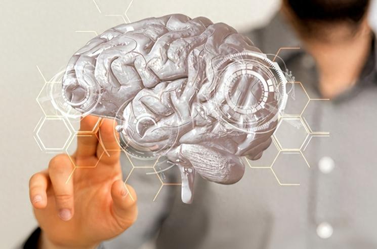 不少人总以为人到中年脑子就开始走下坡路，这个想法其实早就被科学推翻了。[太阳]
