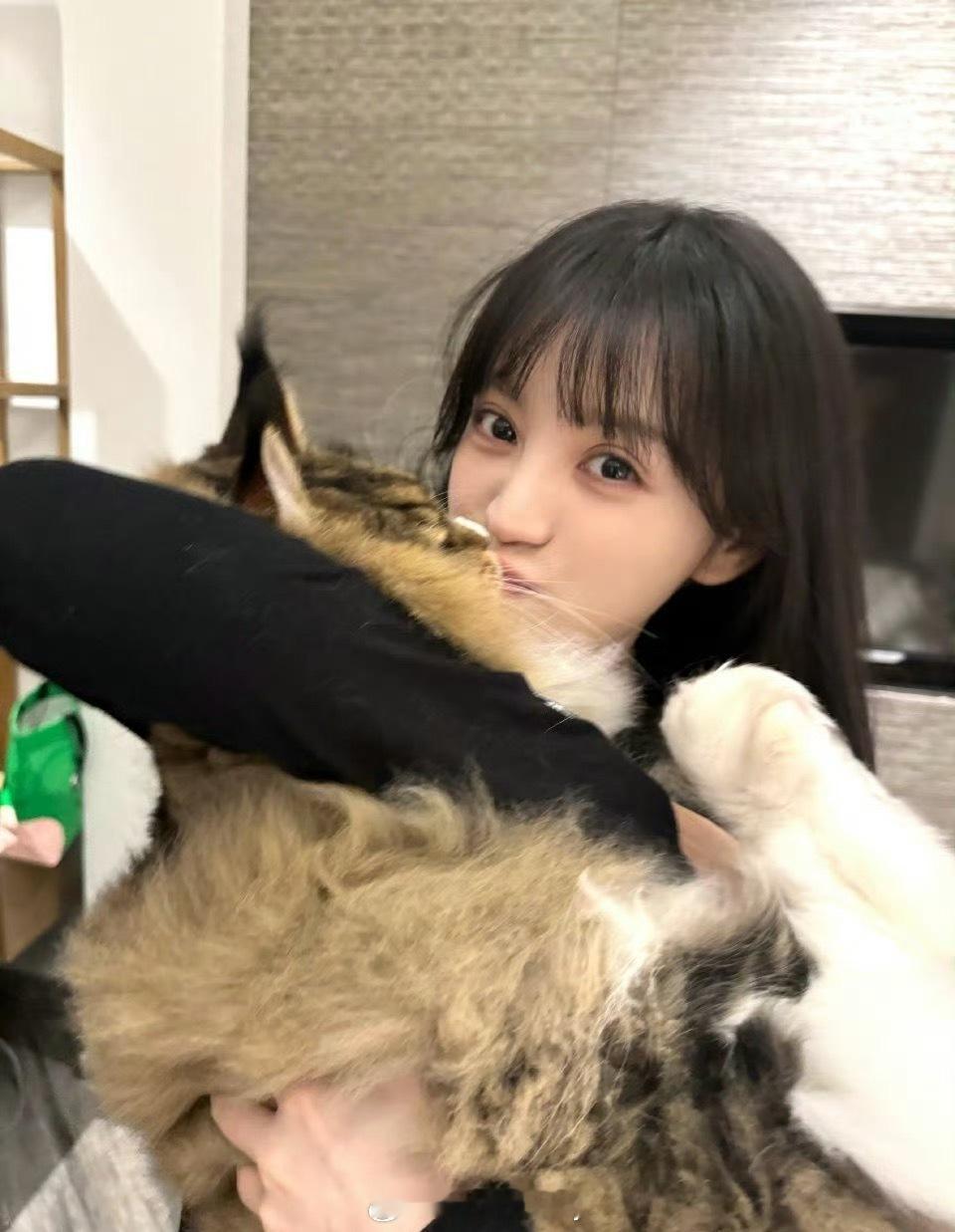 田曦薇最新营业，两只可爱的小猫咪[期待] ​​​