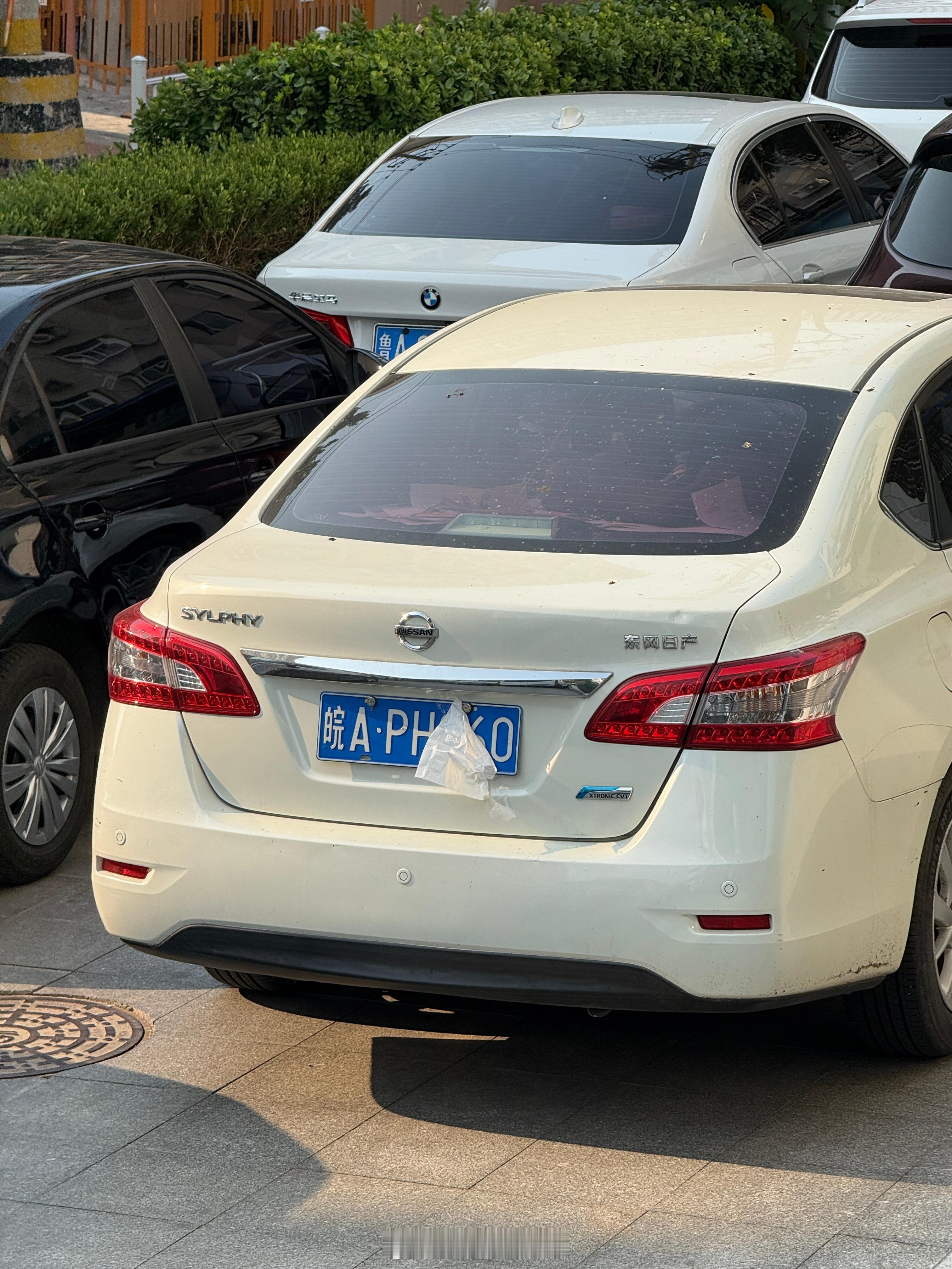 大聪明天天有，而且是肆无忌惮的大聪明[doge] ​​​