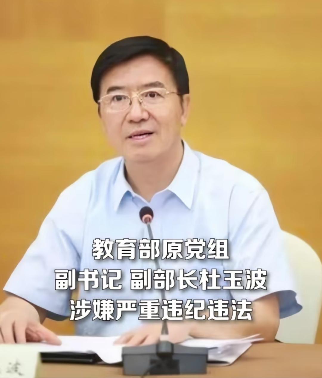 目前正接受纪律审查和监察调查