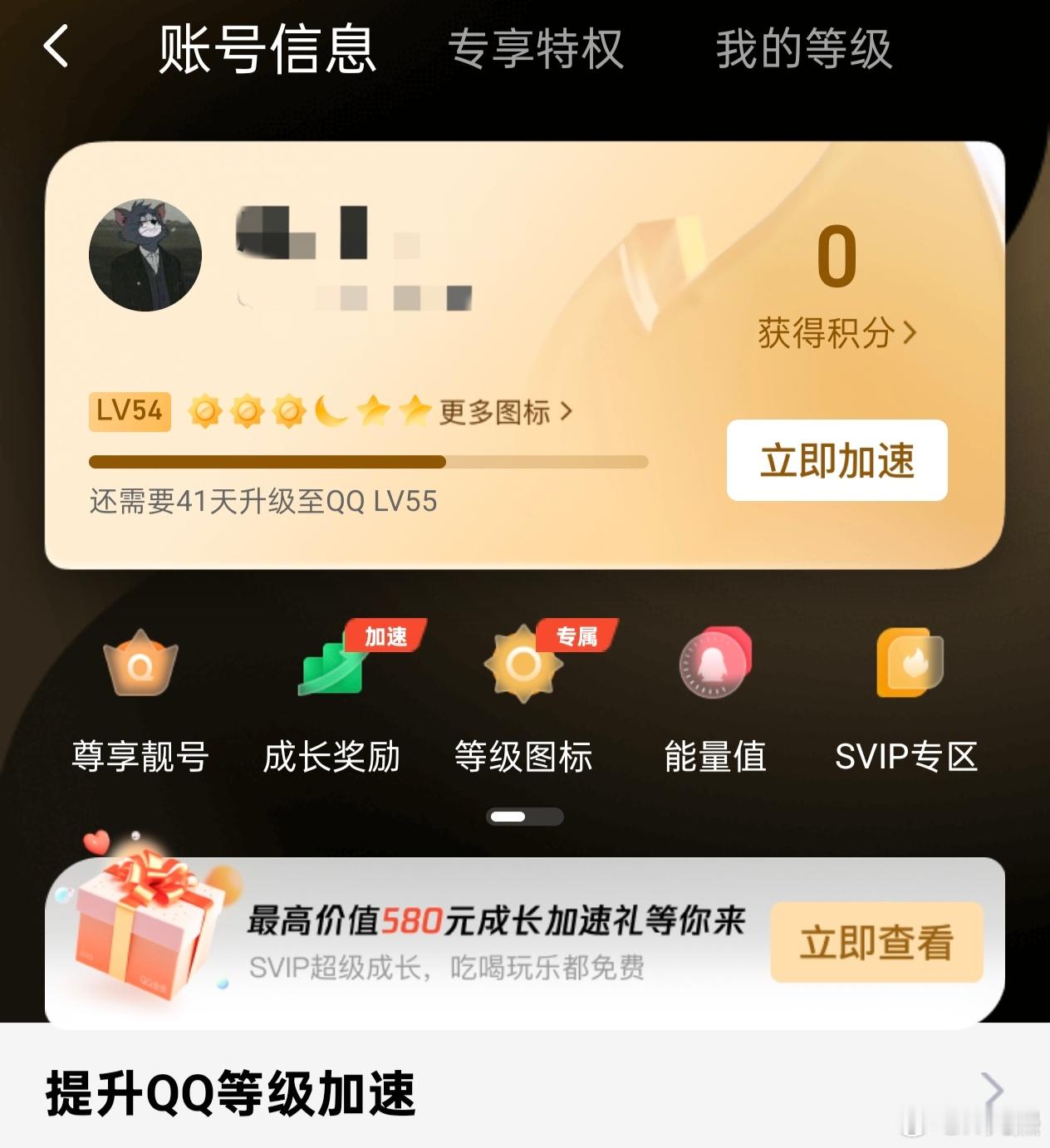 首个满级QQ获得金企鹅刚看了一眼我的QQ，才54级[二哈]三个太阳一个月亮两个星
