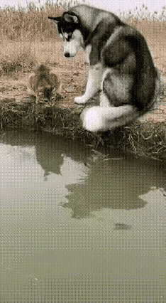 配合的太好了吧！